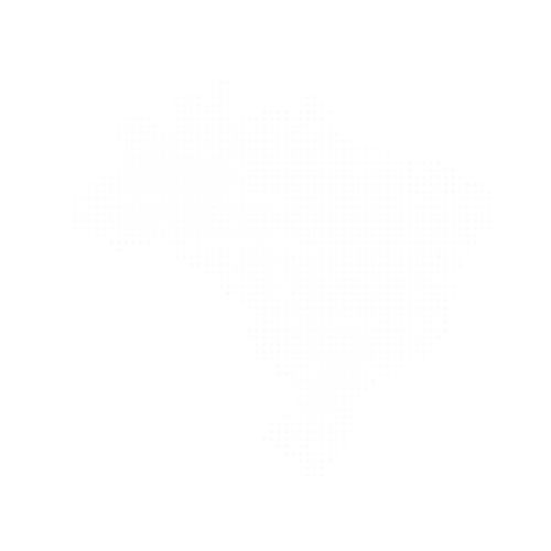Brazil Map Vectorized
